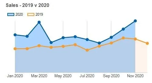 An increase in ecommerce sales in the Arts and Crafts category by November 2020