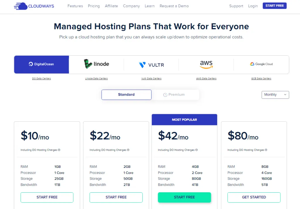 Cloudways managed hosting plans.