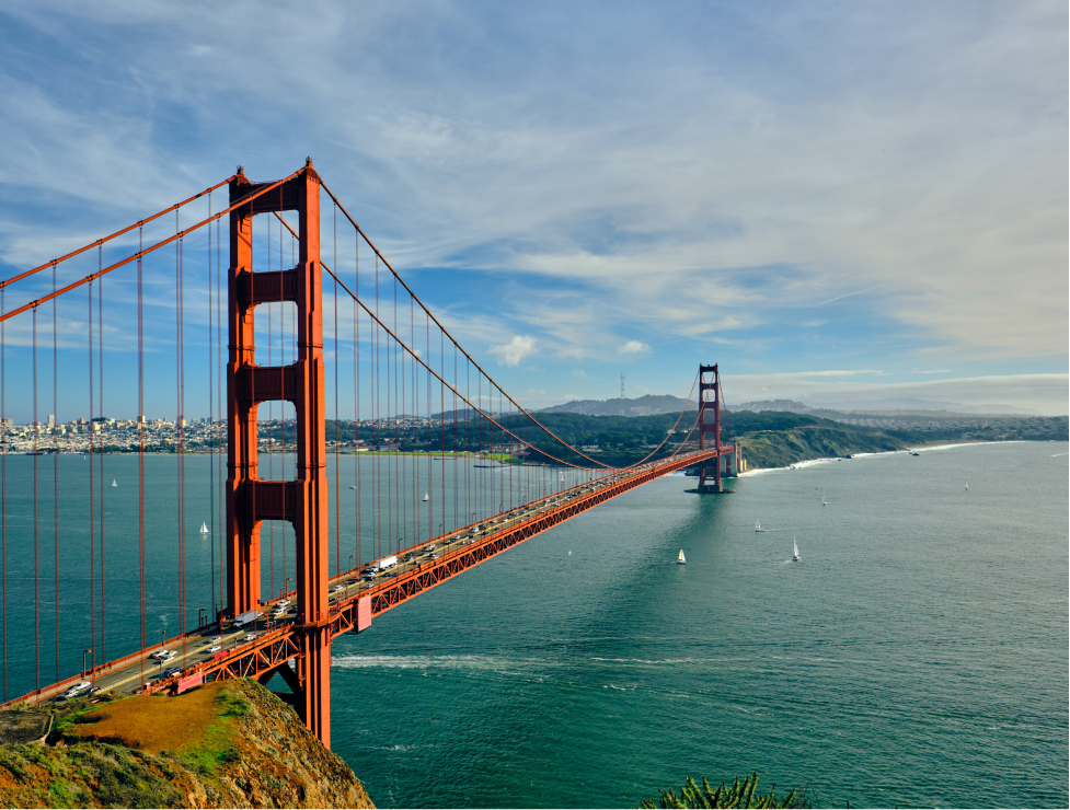California s-design_header
