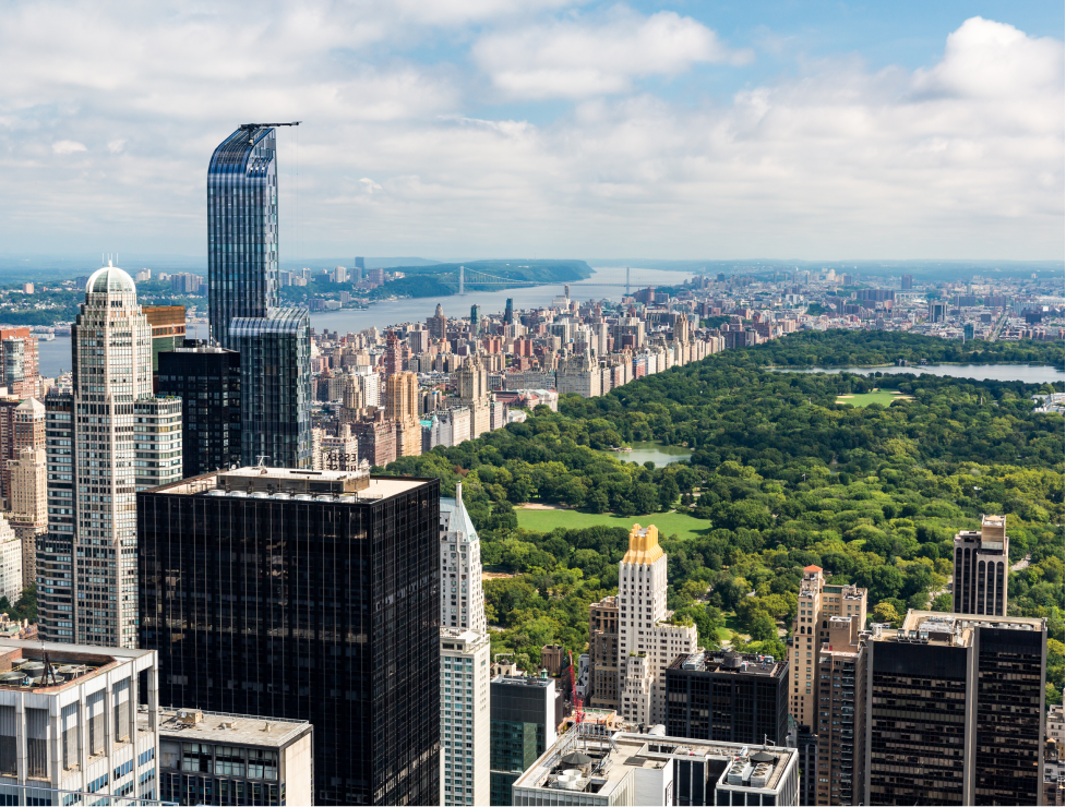 NY1 s-design_header
