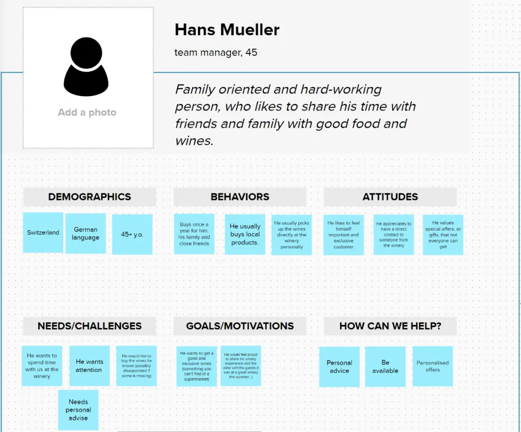 Example of a buyer persona developed for one of Elogic clients.