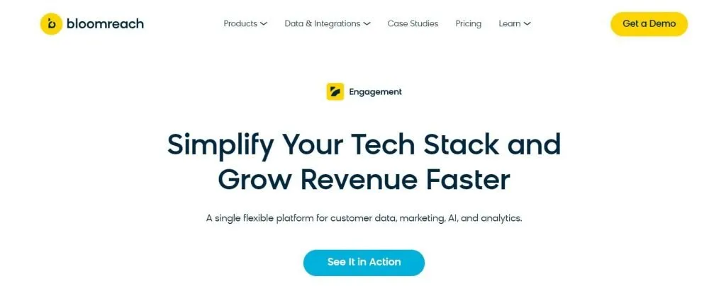 Bloomreach Engagement CDP 